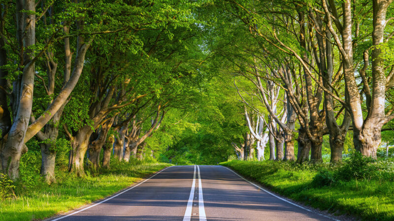 会员卡-卡尔日记